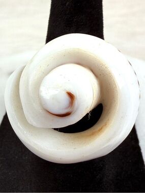 Interesting shell snail beach island chic ring